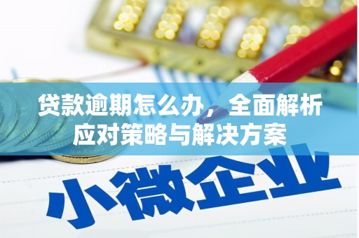 瑞穗贷款逾期怎么办，全面解析应对策略与解决方案