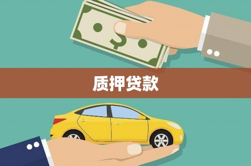 瑞穗质押贷款
