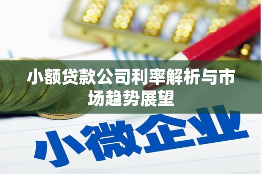 瑞穗小额贷款公司利率解析与市场趋势展望
