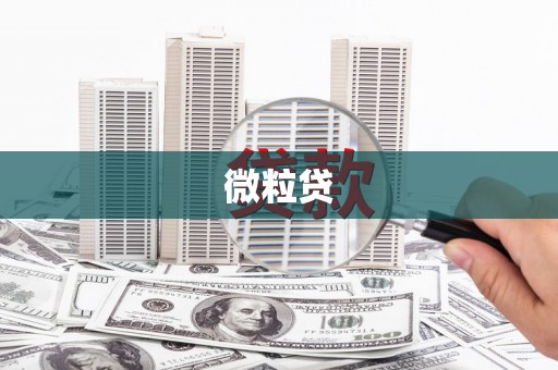 瑞穗微粒贷