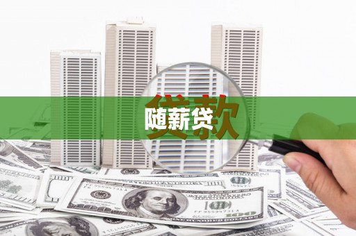 瑞穗随薪贷
