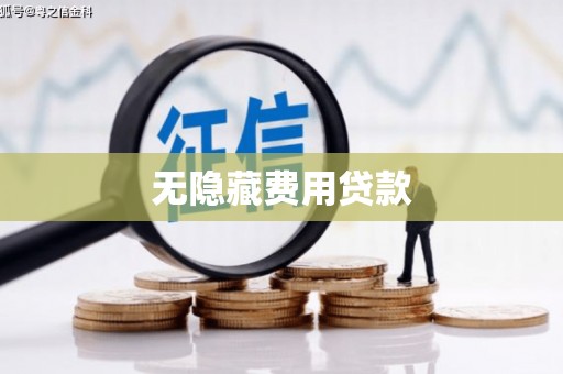 瑞穗无隐藏费用贷款