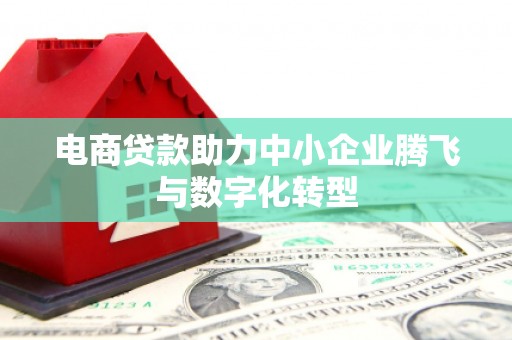 瑞穗电商贷款助力中小企业腾飞与数字化转型