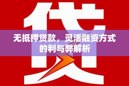 瑞穗无抵押贷款，灵活融资方式的利与弊解析