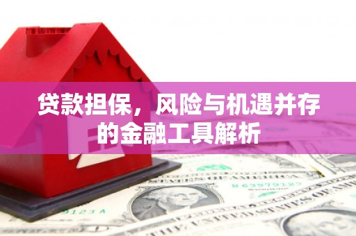 瑞穗贷款担保，风险与机遇并存的金融工具解析