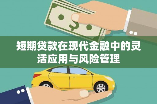 瑞穗短期贷款在现代金融中的灵活应用与风险管理