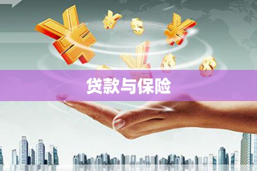 瑞穗贷款与保险