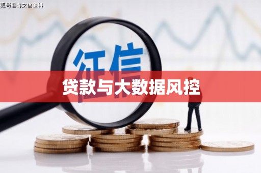 瑞穗贷款与大数据风控