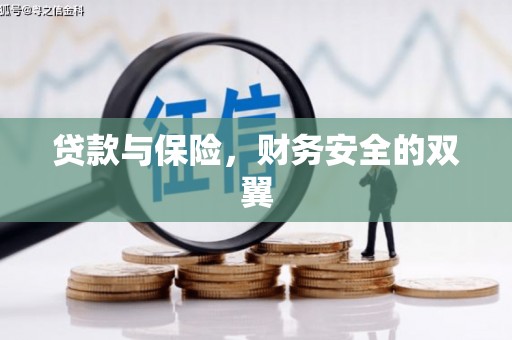 瑞穗贷款与保险，财务安全的双翼