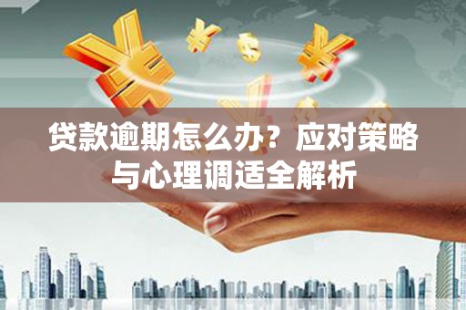 瑞穗贷款逾期怎么办？应对策略与心理调适全解析