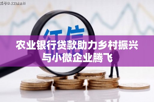 瑞穗农业银行贷款助力乡村振兴与小微企业腾飞