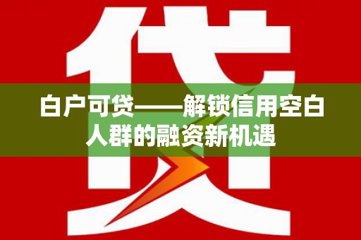 瑞穗白户可贷——解锁信用空白人群的融资新机遇