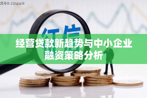 瑞穗经营贷款新趋势与中小企业融资策略分析