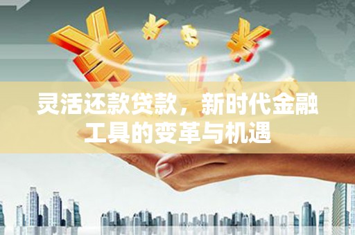 瑞穗灵活还款贷款，新时代金融工具的变革与机遇