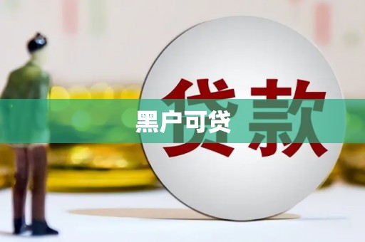 瑞穗黑户可贷