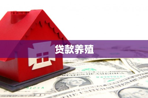 瑞穗贷款养殖