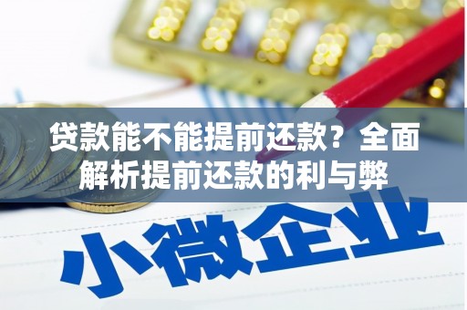 瑞穗贷款能不能提前还款？全面解析提前还款的利与弊