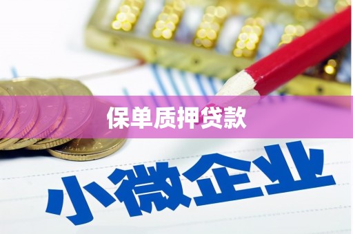 瑞穗保单质押贷款