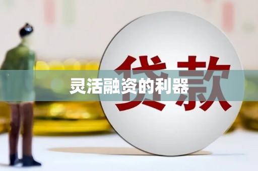 瑞穗灵活融资的利器