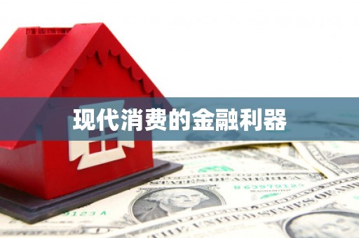 瑞穗现代消费的金融利器