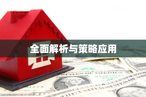 瑞穗全面解析与策略应用