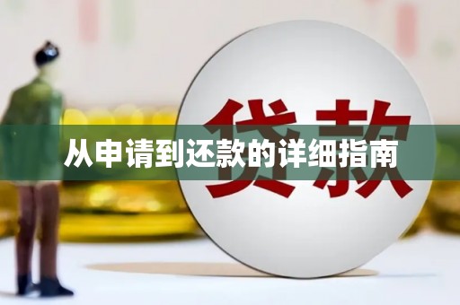 瑞穗从申请到还款的详细指南