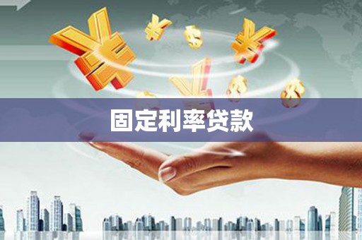 瑞穗固定利率贷款