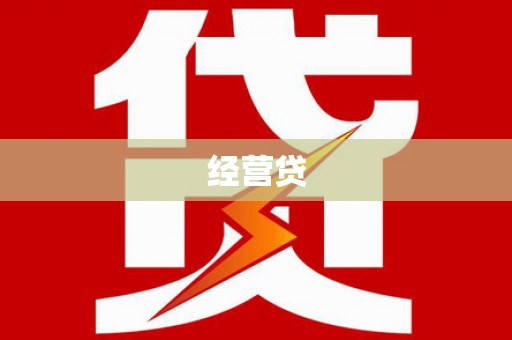 瑞穗经营贷