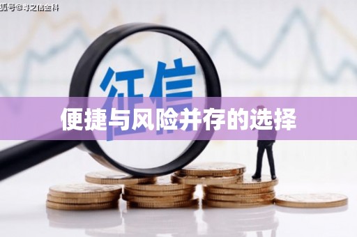 瑞穗便捷与风险并存的选择