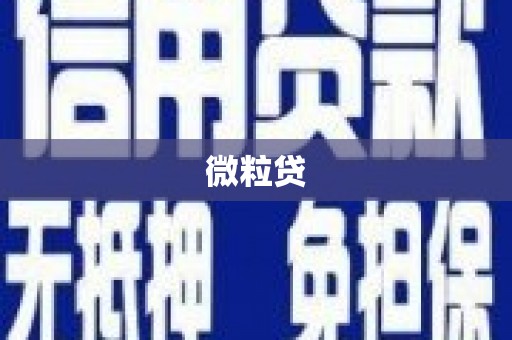 瑞穗微粒贷