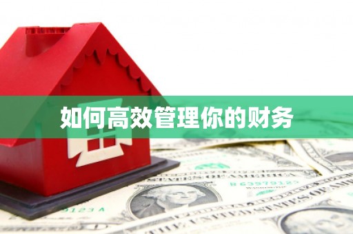 瑞穗如何高效管理你的财务