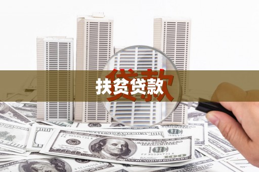 瑞穗扶贫贷款
