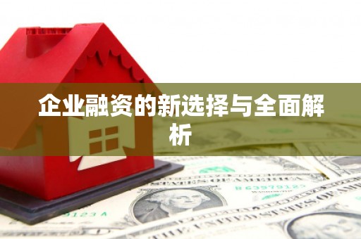 瑞穗企业融资的新选择与全面解析