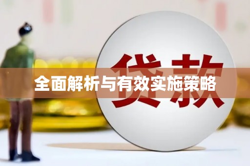 瑞穗全面解析与有效实施策略