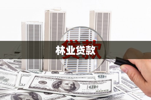 瑞穗林业贷款