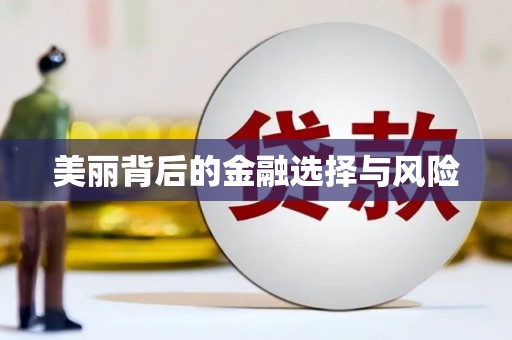 瑞穗美丽背后的金融选择与风险