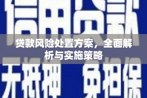 瑞穗贷款风险处置方案，全面解析与实施策略