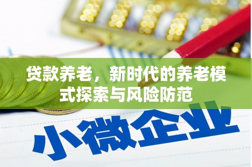 瑞穗贷款养老，新时代的养老模式探索与风险防范