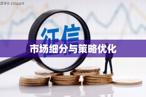 瑞穗市场细分与策略优化