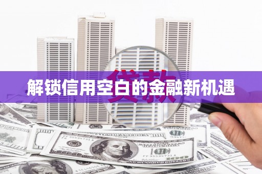 瑞穗解锁信用空白的金融新机遇