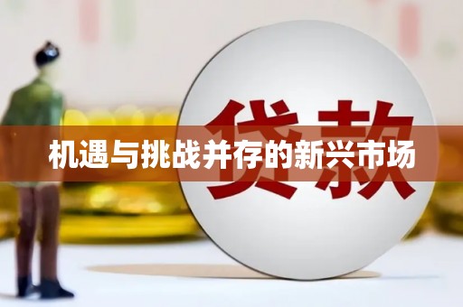 瑞穗机遇与挑战并存的新兴市场