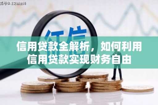 瑞穗信用贷款全解析，如何利用信用贷款实现财务自由