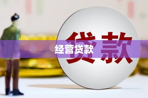 瑞穗经营贷款