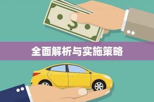 瑞穗全面解析与实施策略