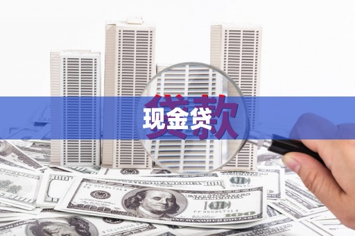 瑞穗现金贷