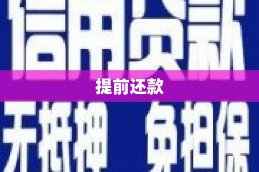 瑞穗提前还款