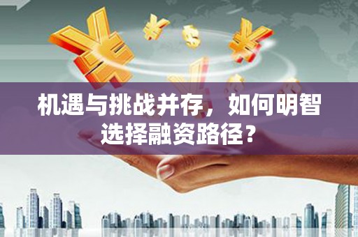 瑞穗机遇与挑战并存，如何明智选择融资路径？