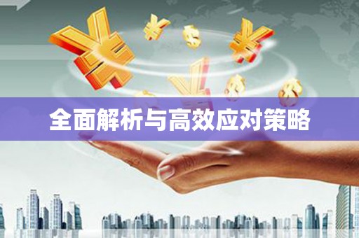 瑞穗全面解析与高效应对策略